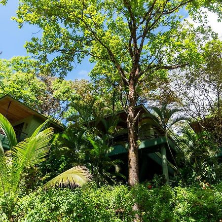 Arbol Verde Villas Ojochal Exterior foto